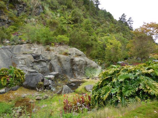 Whangarei Quarry Gardens